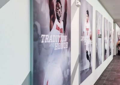 Davidson College Wildcats Wall Murals