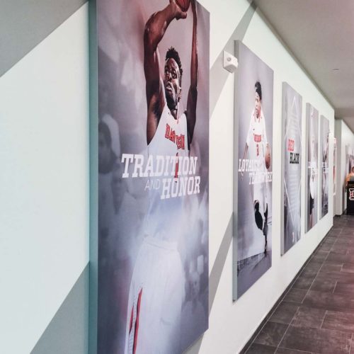 Davidson College Wildcats Wall Murals