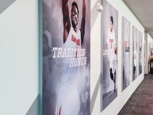Davidson College Wildcats Wall Murals