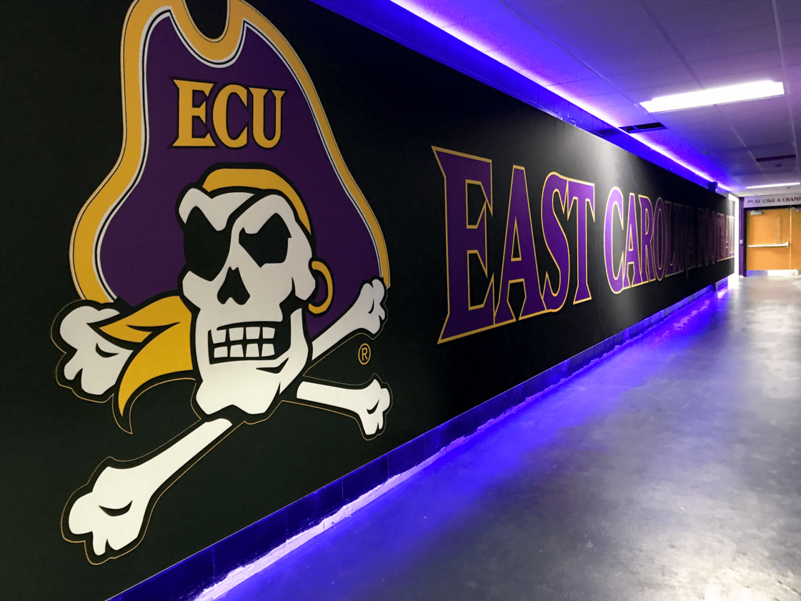 East Carolina Football Mural (1) East Carolina RGBW Halo Lit Wall-Mounted Mural that spans 40 feet