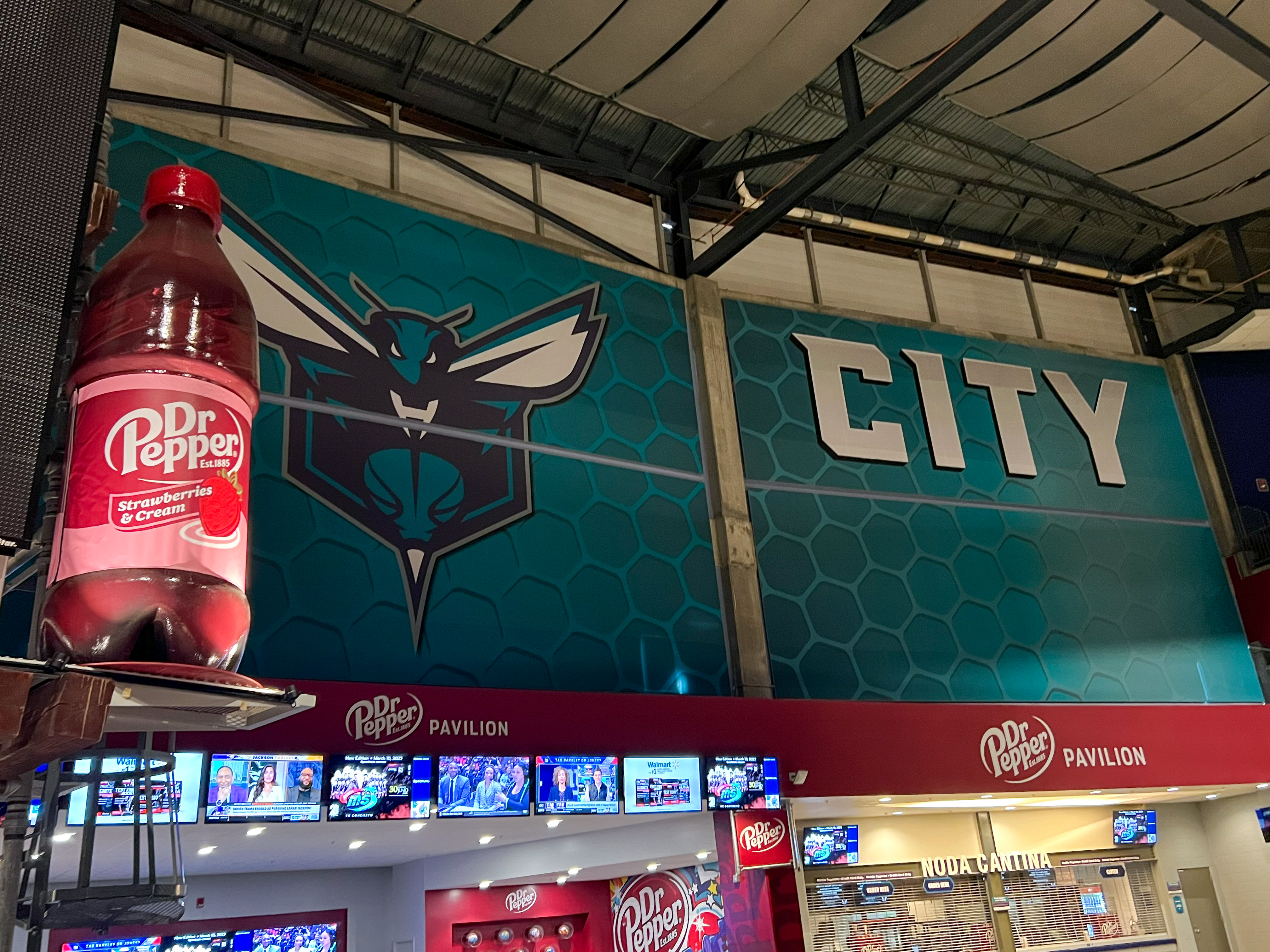 Drpepper1 NBA Charlotte Hornet vinyl wrap