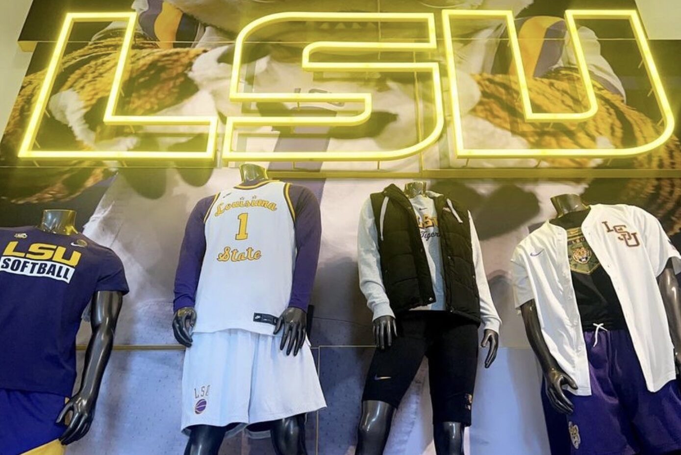 LSU Wall-Mounted Registered Collage